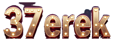 37 erek logo